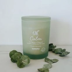 Sonoma Goods For Life® Spa Calm Candle Jar -Sonoma Goods For Life Shop unnamed file 10210