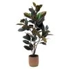 Sonoma Goods For Life® Oversized Potted Rubber Tree -Sonoma Goods For Life Shop unnamed file 10419