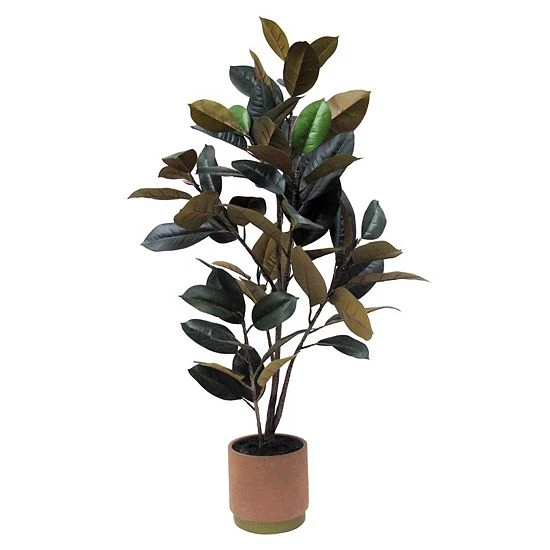 Sonoma Goods For Life® Oversized Potted Rubber Tree 3 Sonoma Goods For Life® Oversized Potted Rubber Tree