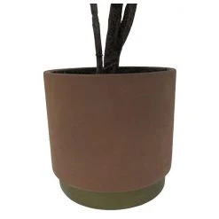 Sonoma Goods For Life® Oversized Potted Rubber Tree 7 Sonoma Goods For Life® Oversized Potted Rubber Tree -Sonoma Goods For Life Shop unnamed file 10421