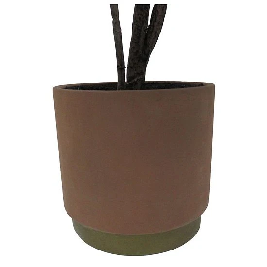 Sonoma Goods For Life® Oversized Potted Rubber Tree 5 Sonoma Goods For Life® Oversized Potted Rubber Tree - Image 3