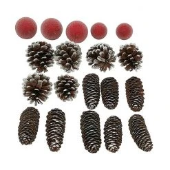 Sonoma Goods For Life® Frosted Pinecone Bulbs Vase Filler -Sonoma Goods For Life Shop unnamed file 10586