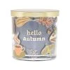 Sonoma Goods For Life® Hello Autumn 13-oz. 3-Wick Jar Candle 1 Sonoma Goods For Life® Hello Autumn 13-oz. 3-Wick Jar Candle -Sonoma Goods For Life Shop unnamed file 10763