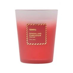 Sonoma Goods For Life® Sparkling Cinnamon 30-oz. Candle Jar 6 Sonoma Goods For Life® Sparkling Cinnamon 30-oz. Candle Jar -Sonoma Goods For Life Shop unnamed file 10767