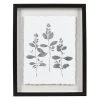 Sonoma Goods For Life® Botanical Shadowbox Framed Wall Art -Sonoma Goods For Life Shop unnamed file 11046