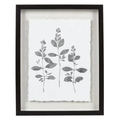 Sonoma Goods For Life® Botanical Shadowbox Framed Wall Art