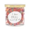 Sonoma Goods For Life® I Love Fall Scarf 13-oz 3-Wick Candle -Sonoma Goods For Life Shop unnamed file 11078
