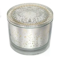 Sonoma Goods For Life® 14.5-oz. Silver Mercury Glass Candle Jar -Sonoma Goods For Life Shop unnamed file 11103