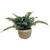 Sonoma Goods For Life® Artificial Mixed Greenery Plant Table Decor -Sonoma Goods For Life Shop unnamed file 11303