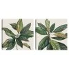 Sonoma Goods For Life® Magnolia Leaves I & II Canvas Wall Art 2-piece Set 2 Sonoma Goods For Life® Magnolia Leaves I & II Canvas Wall Art 2-piece Set -Sonoma Goods For Life Shop unnamed file 11329