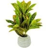 Sonoma Goods For Life® Artificial Potted Greenery Floor Decor 1 Sonoma Goods For Life® Artificial Potted Greenery Floor Decor -Sonoma Goods For Life Shop unnamed file 11333
