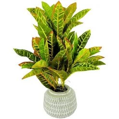 Sonoma Goods For Life® Artificial Potted Greenery Floor Decor
