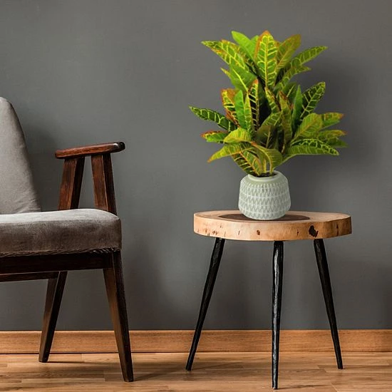 Sonoma Goods For Life® Artificial Potted Greenery Floor Decor 4 Sonoma Goods For Life® Artificial Potted Greenery Floor Decor - Image 2