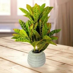 Sonoma Goods For Life® Artificial Potted Greenery Floor Decor 8 Sonoma Goods For Life® Artificial Potted Greenery Floor Decor -Sonoma Goods For Life Shop unnamed file 11335
