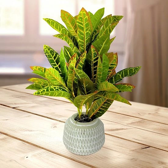 Sonoma Goods For Life® Artificial Potted Greenery Floor Decor 5 Sonoma Goods For Life® Artificial Potted Greenery Floor Decor - Image 3