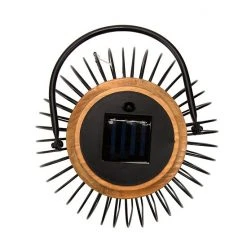 Sonoma Goods For Life® Solar LED Lantern Floor Decor -Sonoma Goods For Life Shop unnamed file 11739