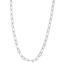 Sonoma Goods For Life® 24-in. Flat Oval Link Necklace Silver Tone -Sonoma Goods For Life Shop unnamed file 11791