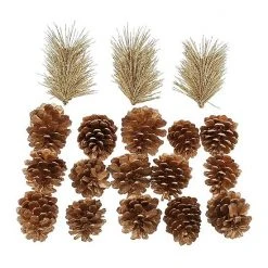 Sonoma Goods For Life® Glitter Artificial Cypress Pinecone Vase Fillers 6 Sonoma Goods For Life® Glitter Artificial Cypress Pinecone Vase Fillers -Sonoma Goods For Life Shop unnamed file 12063