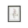 Sonoma Goods For Life® Shadowbox Painted Botanicals 1 Sonoma Goods For Life® Shadowbox Painted Botanicals -Sonoma Goods For Life Shop unnamed file 12079