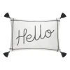 Sonoma Goods For Life® "Hello" Pillow -Sonoma Goods For Life Shop unnamed file 12105