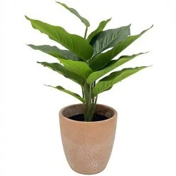 Sonoma Goods For Life® Artificial Leafy Plant Floor Decor
