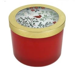 Sonoma Goods For Life® Sparkling Cinnamon Candle Jar 5 Sonoma Goods For Life® Sparkling Cinnamon Candle Jar -Sonoma Goods For Life Shop unnamed file 12559