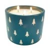 Sonoma Goods For Life® 14-oz. Balsam Fir & Logenberry Novelty Cylinder Candle Table Decor -Sonoma Goods For Life Shop unnamed file 12766