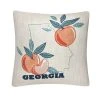 Sonoma Goods For Life® Georgia Feather Fill Throw Pillow 1 Sonoma Goods For Life® Georgia Feather Fill Throw Pillow -Sonoma Goods For Life Shop unnamed file 12963