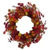 Sonoma Goods For Life® Colorful Artificial Eucalyptus Wreath -Sonoma Goods For Life Shop unnamed file 14213