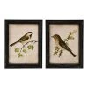 Sonoma Goods For Life® Bird Wall Art 2-piece Set 2 Sonoma Goods For Life® Bird Wall Art 2-piece Set -Sonoma Goods For Life Shop unnamed file 14613