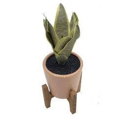 Sonoma Goods For Life® Artificial Snake Plant Floor Decor -Sonoma Goods For Life Shop unnamed file 14784