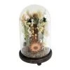 Sonoma Goods For Life® Dried Flowers Cloche Table Decor -Sonoma Goods For Life Shop unnamed file 15117