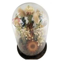 Sonoma Goods For Life® Dried Flowers Cloche Table Decor 9 Sonoma Goods For Life® Dried Flowers Cloche Table Decor -Sonoma Goods For Life Shop unnamed file 15120