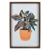 Sonoma Goods For Life® Plant Framed Wall Art 1 Sonoma Goods For Life® Plant Framed Wall Art -Sonoma Goods For Life Shop unnamed file 15296