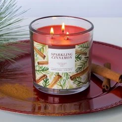 Sonoma Goods For Life® Sparkling Cinnamon 14-oz. Candle Jar -Sonoma Goods For Life Shop unnamed file 2423