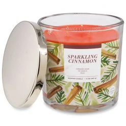 Sonoma Goods For Life® Sparkling Cinnamon 14-oz. Candle Jar -Sonoma Goods For Life Shop unnamed file 2425