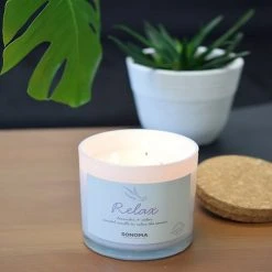 Sonoma Goods For Life® Spa Relax 3-Wick Candle Jar -Sonoma Goods For Life Shop unnamed file 2549