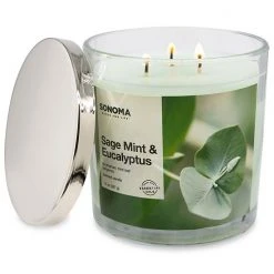 Sonoma Goods For Life® Sage Mint & Eucalyptus 14-oz. Candle Jar -Sonoma Goods For Life Shop unnamed file 3986
