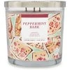 Sonoma Goods For Life® Peppermint Bark 14-oz. Candle Jar -Sonoma Goods For Life Shop unnamed file 4048