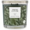 Sonoma Goods For Life® Fresh Cut Fir 14-oz. Candle Jar -Sonoma Goods For Life Shop unnamed file 4222