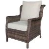 Sonoma Goods For Life® Cortena Wicker Lounge Arm Chair Brown -Sonoma Goods For Life Shop unnamed file 4705