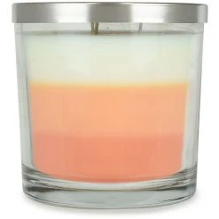 Sonoma Goods For Life® White Peach & Mango 14-oz. 3-Wick Candle Jar -Sonoma Goods For Life Shop unnamed file 5102