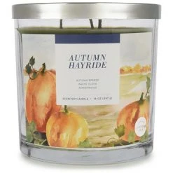 Sonoma Goods For Life® Autumn Hayride 14-oz. Candle Jar