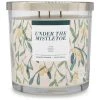 Sonoma Goods For Life® Under The Mistletoe 14-oz. Candle Jar -Sonoma Goods For Life Shop unnamed file 6135