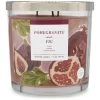 Sonoma Goods For Life® Pomegranate & Fig 14-oz. Candle Jar -Sonoma Goods For Life Shop unnamed file 6475