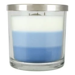 Sonoma Goods For Life® Blue Citron 14oz 3-Wick Candle Jar -Sonoma Goods For Life Shop unnamed file 7064