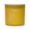 Sonoma Goods For Life® Falling Leaves 13-oz. Candle Jar 1 Sonoma Goods For Life® Falling Leaves 13-oz. Candle Jar -Sonoma Goods For Life Shop unnamed file 7219