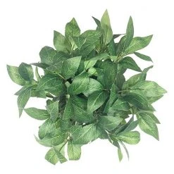 Sonoma Goods For Life® Sonoma Faux House Plant -Sonoma Goods For Life Shop unnamed file 7573