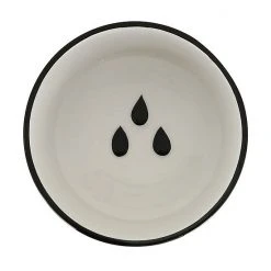 Sonoma Goods For Life® Rimmed Pet Bowl Bone