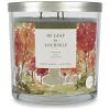 Sonoma Goods For Life® Be Leaf In Yourself 14-oz. Candle Jar 1 Sonoma Goods For Life® Be Leaf In Yourself 14-oz. Candle Jar -Sonoma Goods For Life Shop unnamed file 8003
